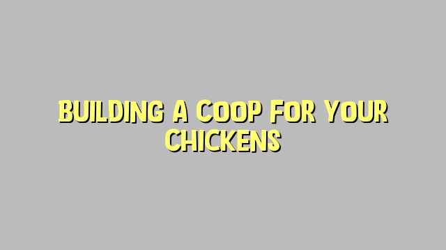 Building a Coop for Your Chickens