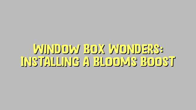 Window Box Wonders: Installing a Blooms Boost